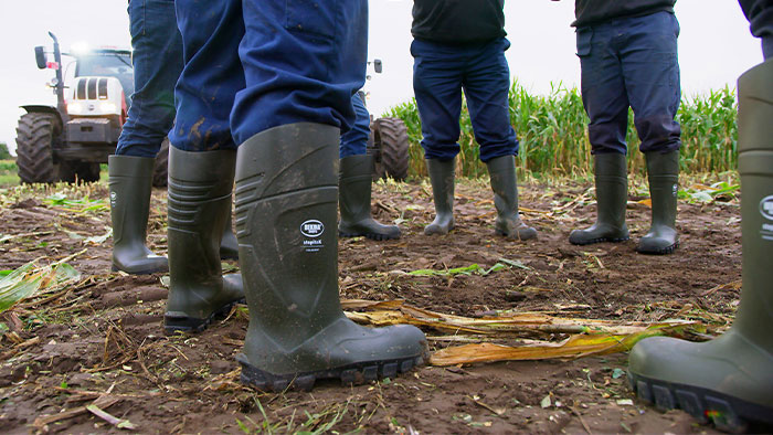 Las mejores botas de caucho para el campo Las botas Bekina de NEOTANE